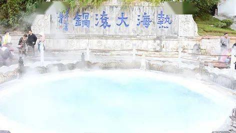 大鹰森林逃生
